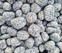 Granitinė skalda Pipiras gludinti