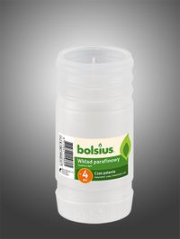 Parafino žvakių įdėklas